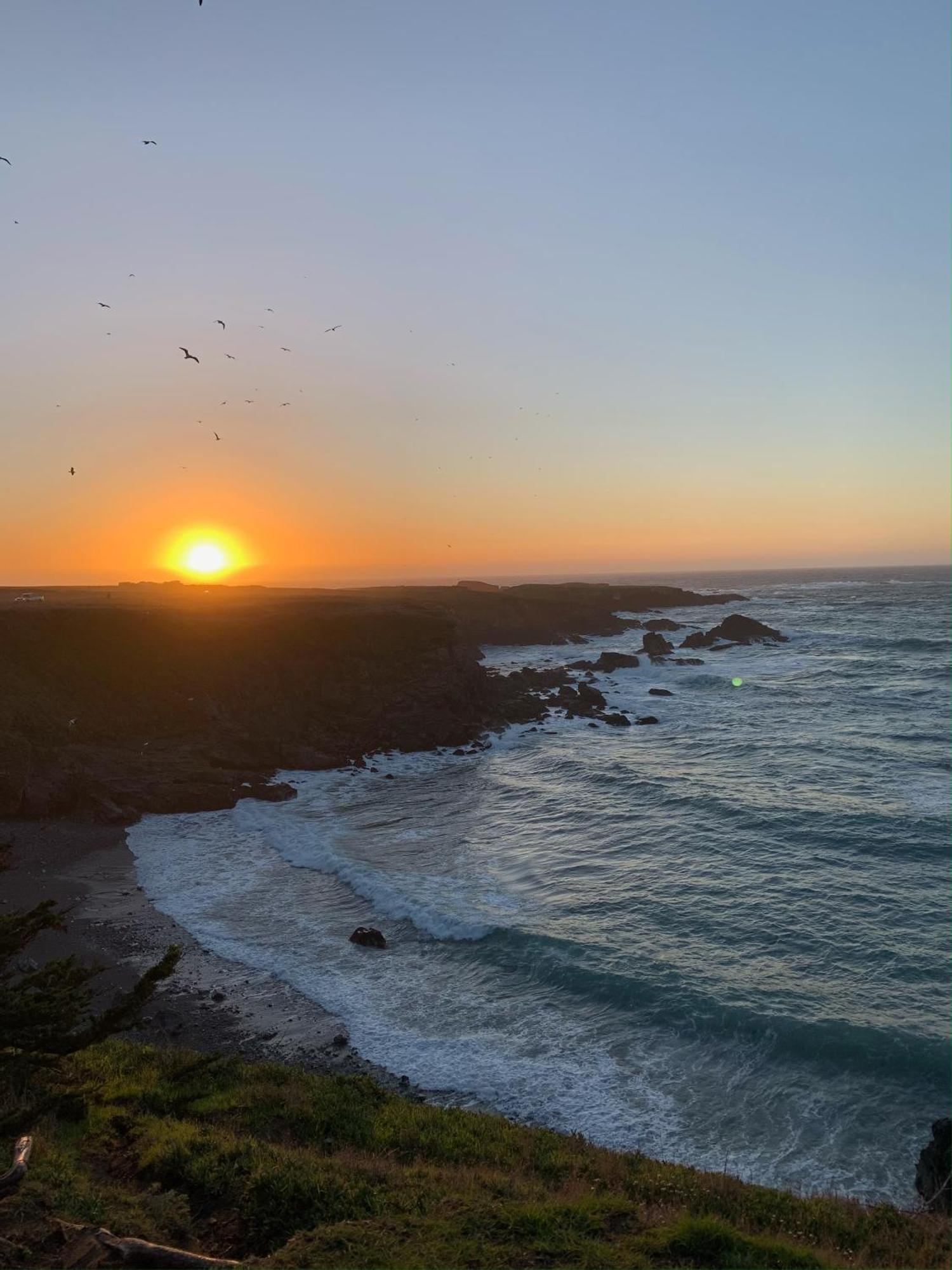 Seabird Lodge פורט בראג מראה חיצוני תמונה