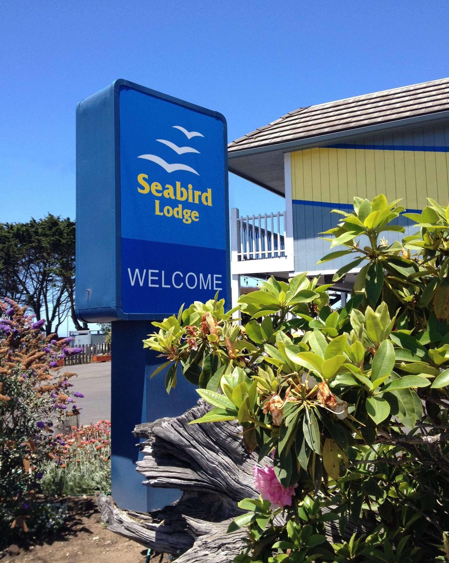Seabird Lodge פורט בראג מראה חיצוני תמונה